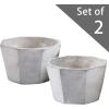 Set of 2 Modern Cement Octagon Planter Pot, 5-Inch Succulent & Cactus Container, Gray