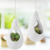 Set of 2 White Ceramic Hanging Teardrop Shaped Planters for Succulent Air Plants with Twine Rope