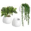 Set of 3 Mini White Ceramic Wall Mountable Plant Vase, 4 Inch Hanging Succulent Pots