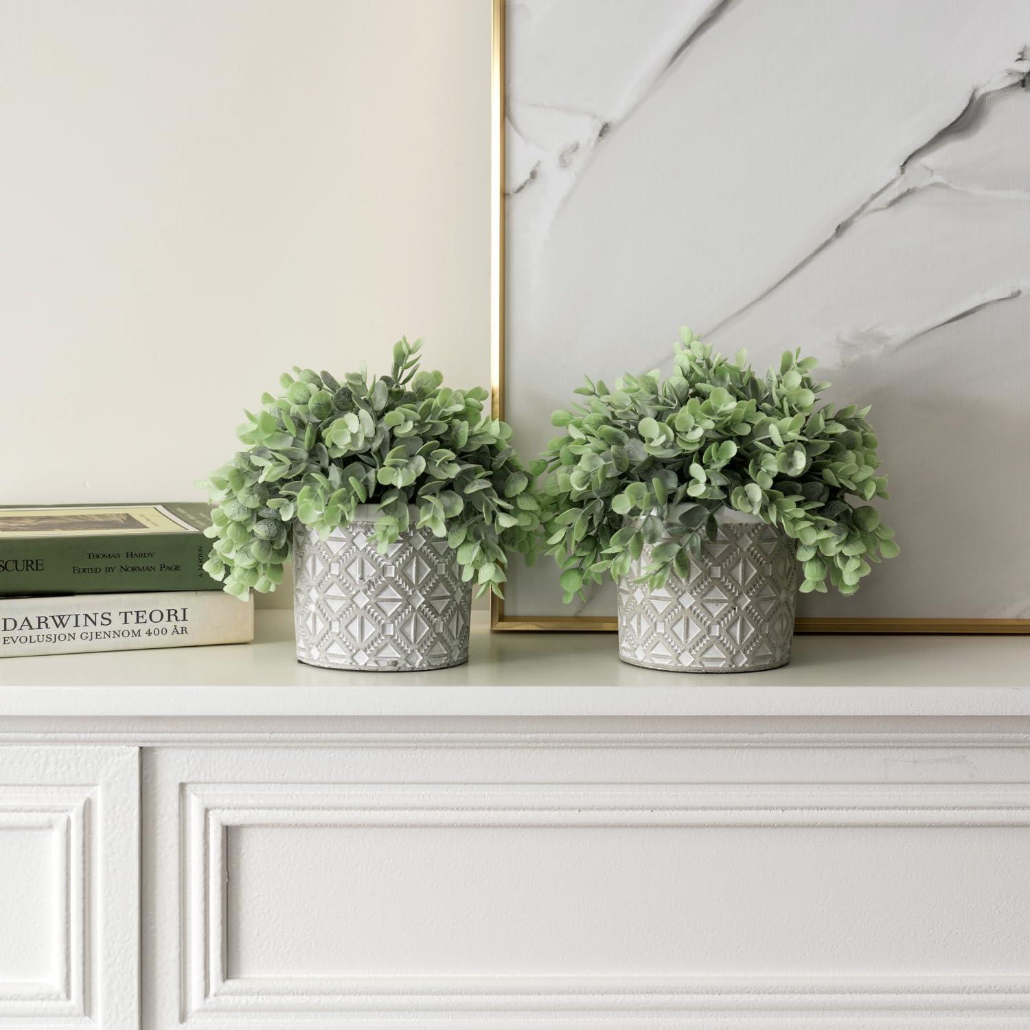 imageMyGift Artificial Eucalyptus Plant in Modern Gray Concrete Pots with Geometric Embossed Pattern 1 BlueGrey