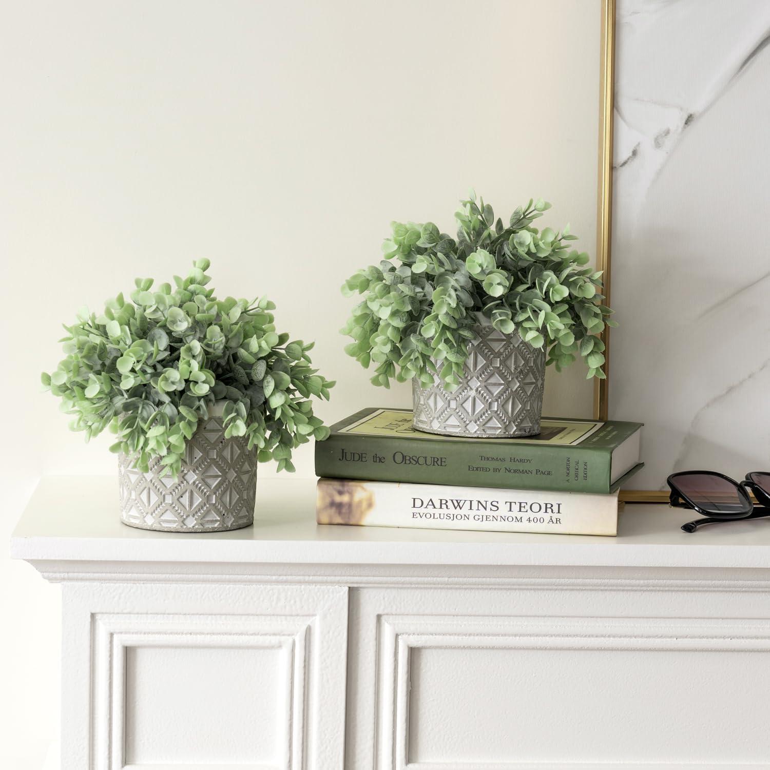 imageMyGift Artificial Eucalyptus Plant in Modern Gray Concrete Pots with Geometric Embossed Pattern 1 BlueGrey