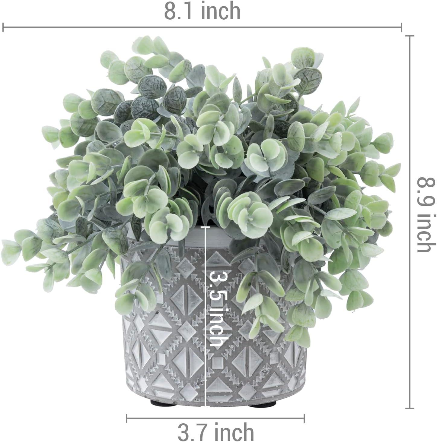 imageMyGift Artificial Eucalyptus Plant in Modern Gray Concrete Pots with Geometric Embossed Pattern 1 BlueGrey