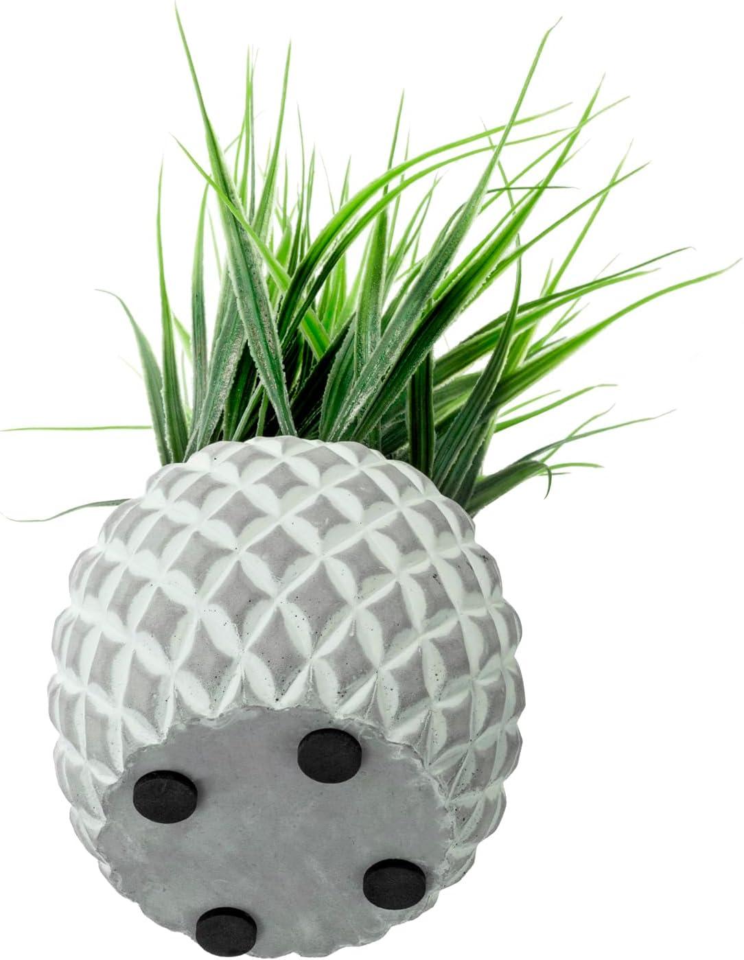 imageMyGift Artificial Eucalyptus Plant in Modern Gray Concrete Pots with Geometric Embossed Pattern 1 BlueWhite Gray