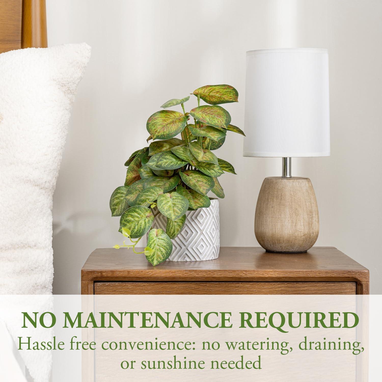 imageMyGift Artificial Eucalyptus Plant in Modern Gray Concrete Pots with Geometric Embossed Pattern 1 BlueWhite Diamond Pattern