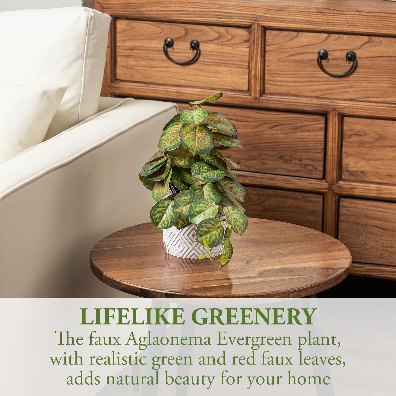 imageMyGift Artificial Eucalyptus Plant in Modern Gray Concrete Pots with Geometric Embossed Pattern 1 BlueWhite Diamond Pattern