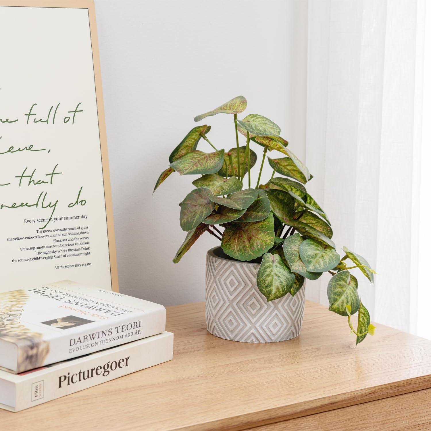 imageMyGift Artificial Eucalyptus Plant in Modern Gray Concrete Pots with Geometric Embossed Pattern 1 BlueWhite Diamond Pattern
