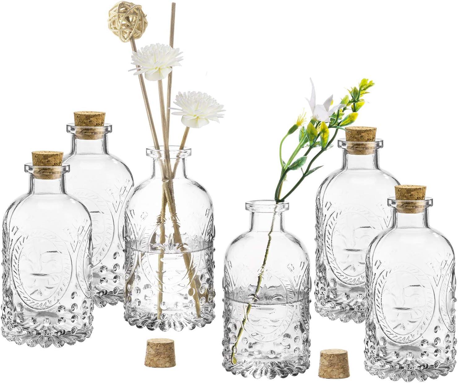 imageMyGift Small Clear Glass Reed Diffuser Bottles Vintage Embossed Apothecary Style Flower Bud Vases with Cork Lids Set of 2Vintage Clear Glass Set of 6