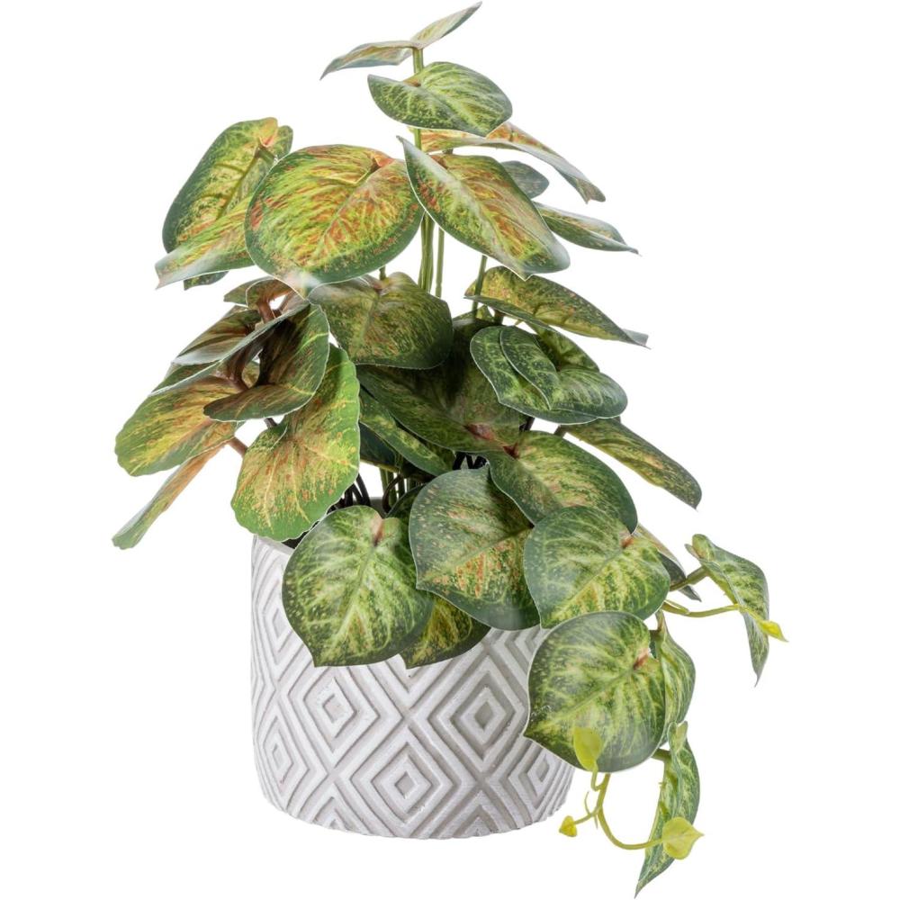 imageMyGift Artificial Eucalyptus Plant in Modern Gray Concrete Pots with Geometric Embossed Pattern 1 BlueWhite Diamond Pattern