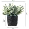 MyGift Artificial Eucalyptus Plant in Modern Gray Concrete Pots with Geometric Embossed Pattern (1, Blue)(Black)