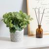 MyGift Artificial Eucalyptus Plant in Modern Gray Concrete Pots with Geometric Embossed Pattern (1, Blue)(Gray & White)