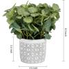 MyGift Artificial Eucalyptus Plant in Modern Gray Concrete Pots with Geometric Embossed Pattern (1, Blue)(Gray & White)