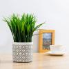 MyGift Artificial Eucalyptus Plant in Modern Gray Concrete Pots with Geometric Embossed Pattern (1, Blue)(White Geometric Embossed Pattern)