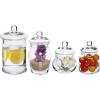 MyGift Small Decorative Glass Apothecary Candy Jars, Small Storage Canisters with Lids, Set of 4