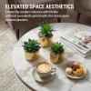 MyGift Set of 3 Artificial Succulent Decorations in Modern Brass-Tone Ceramic Planter Pots