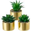 MyGift Set of 3 Artificial Succulent Decorations in Modern Brass-Tone Ceramic Planter Pots