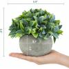 MyGift 6-Inch Artificial Leafy Green Plant in Round Paper Planter Pot – Faux Decorative Tabletop Plant for Home, Office, or Shelf Display
