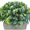 MyGift 6-Inch Artificial Leafy Green Plant in Round Paper Planter Pot – Faux Decorative Tabletop Plant for Home, Office, or Shelf Display