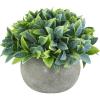 MyGift 6-Inch Artificial Leafy Green Plant in Round Paper Planter Pot – Faux Decorative Tabletop Plant for Home, Office, or Shelf Display